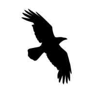 Raven logo